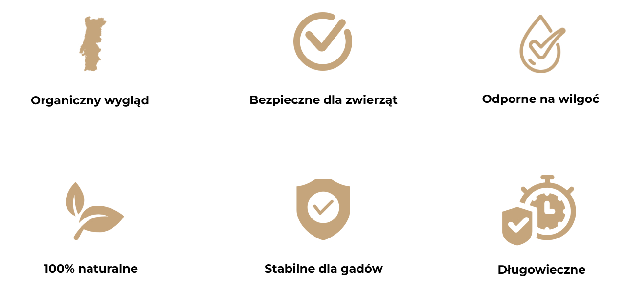Obraz przedstawia sześć ikon opisujących zalety korkowych gałęzi do terrarium.